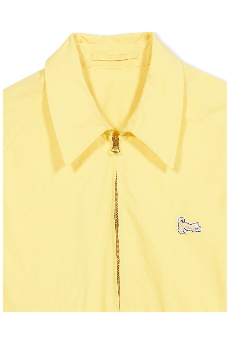 Cotton Bomber Jacket, Alternate, color, Yellow