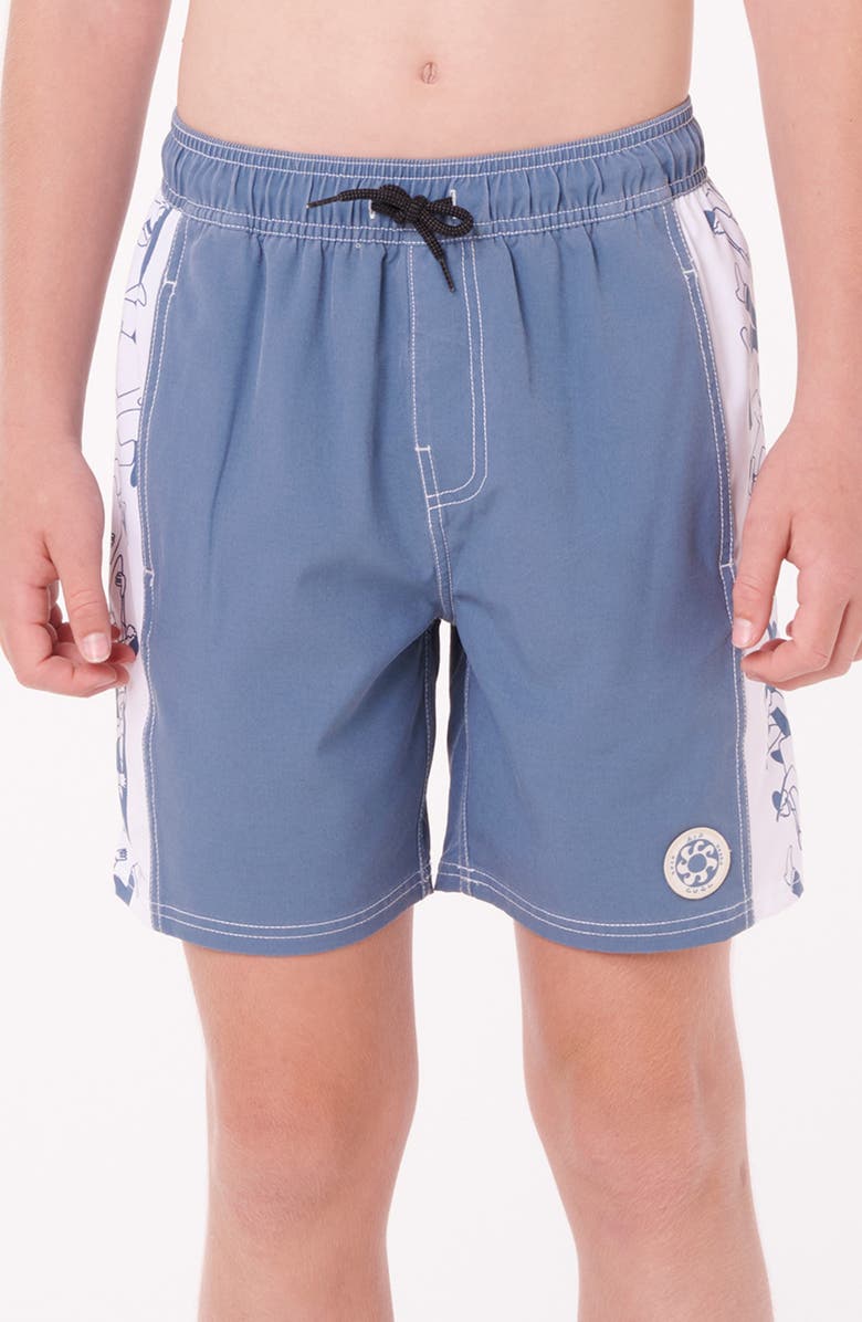 Rip Curl Kids' Sideways Volly Swim Trunks, Main, color, Bluefin