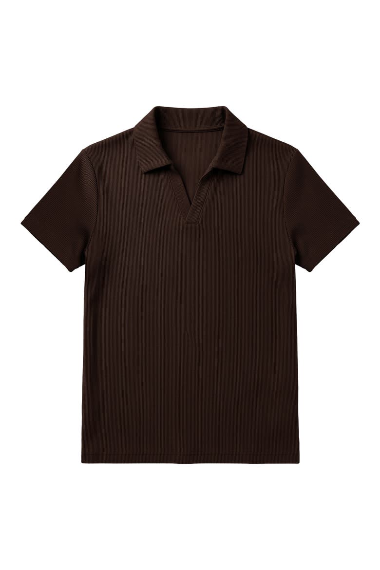 Ribbed Jonny Collar Polo, Alternate, color, CHOCOLATE