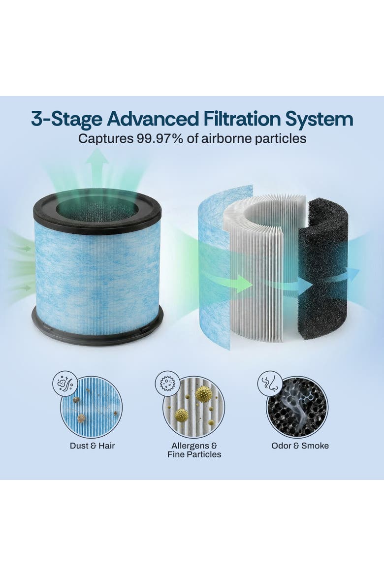 True HEPA Air Filter Replacement - Ibuki & Ibuki+, Alternate, color, Blue