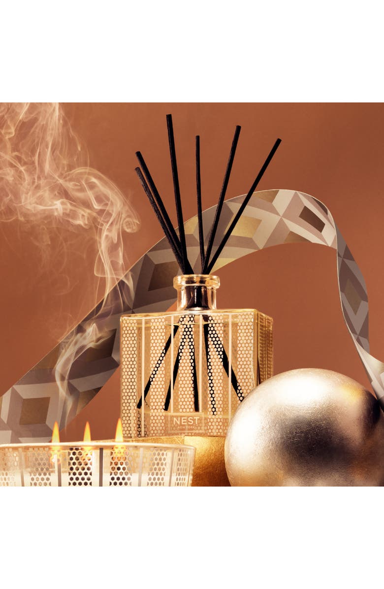 NEST New York Amber & Incense Reed Diffuser, Alternate, color, 
