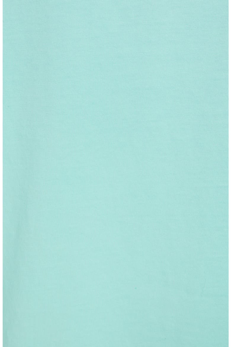 Classic Logo T-Shirt, Alternate, color, MINT