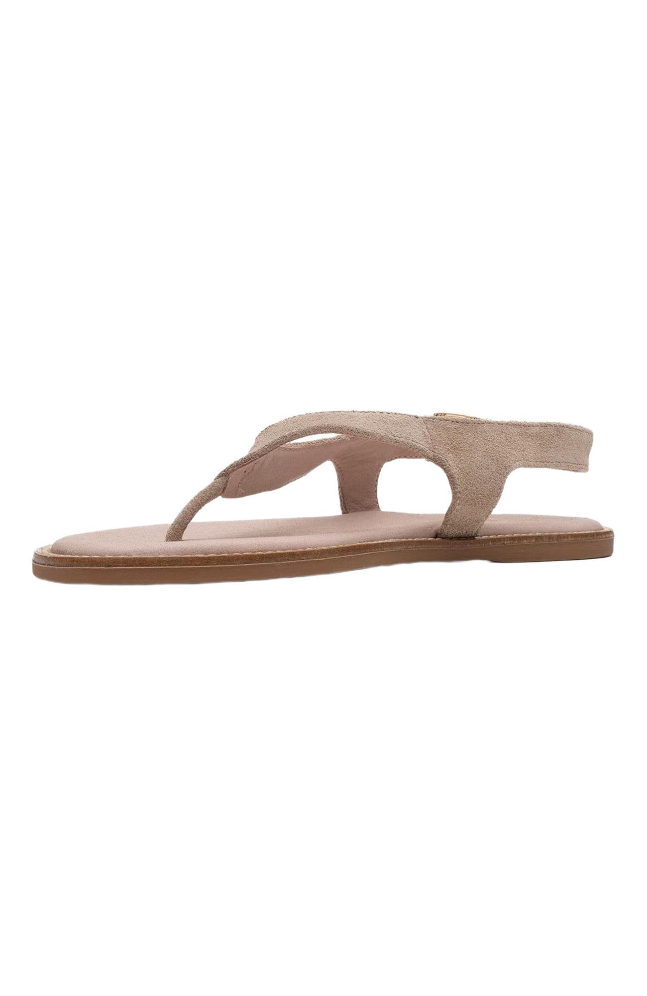 Belinda Leather Thong Sandals, Alternate, color, Beige Suede Leather
