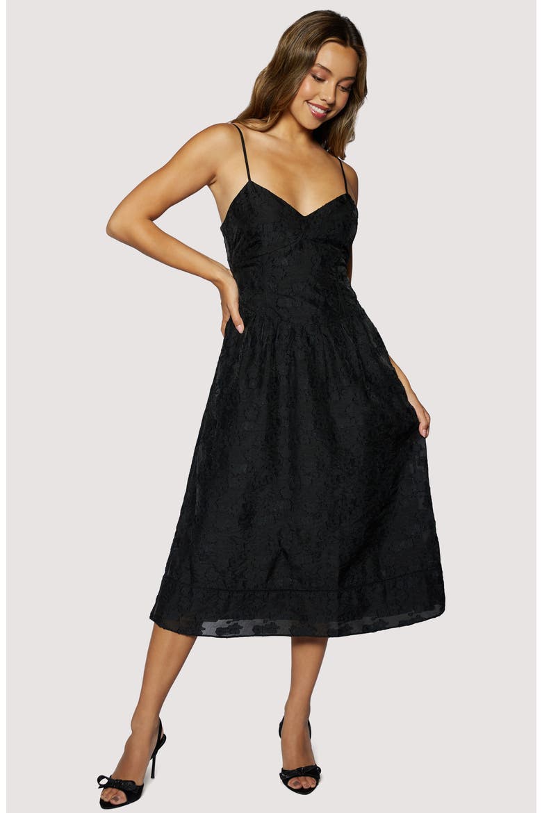 Petal Veil Jacquard Dress, Alternate, color, BLACK