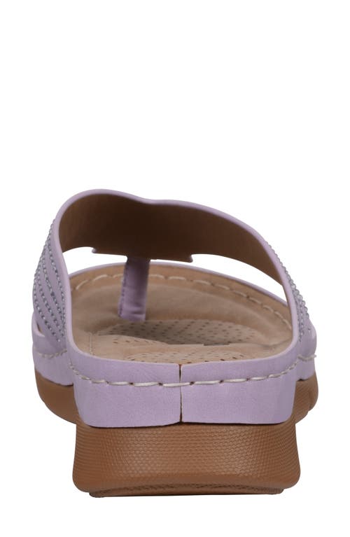 Gc Shoes Amari Comfort Sandal In Purple