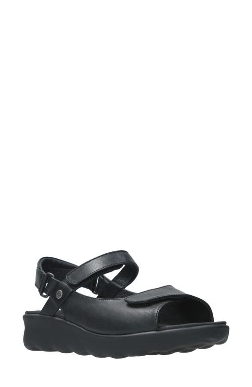 Wolky Pichu Quarter Strap Sandal in Black 