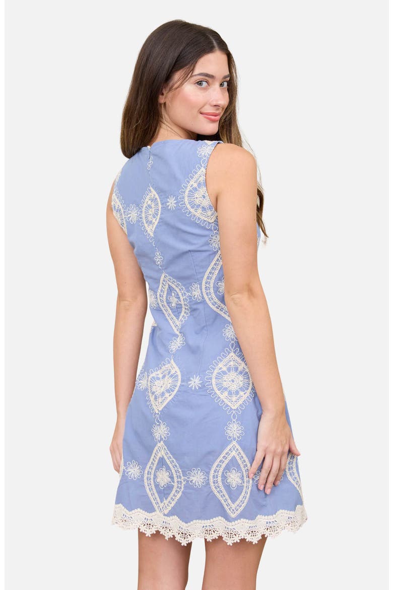 Floral Embroidered Sleeveless Cotton Minidress, Alternate, color, LIGHT DENIM