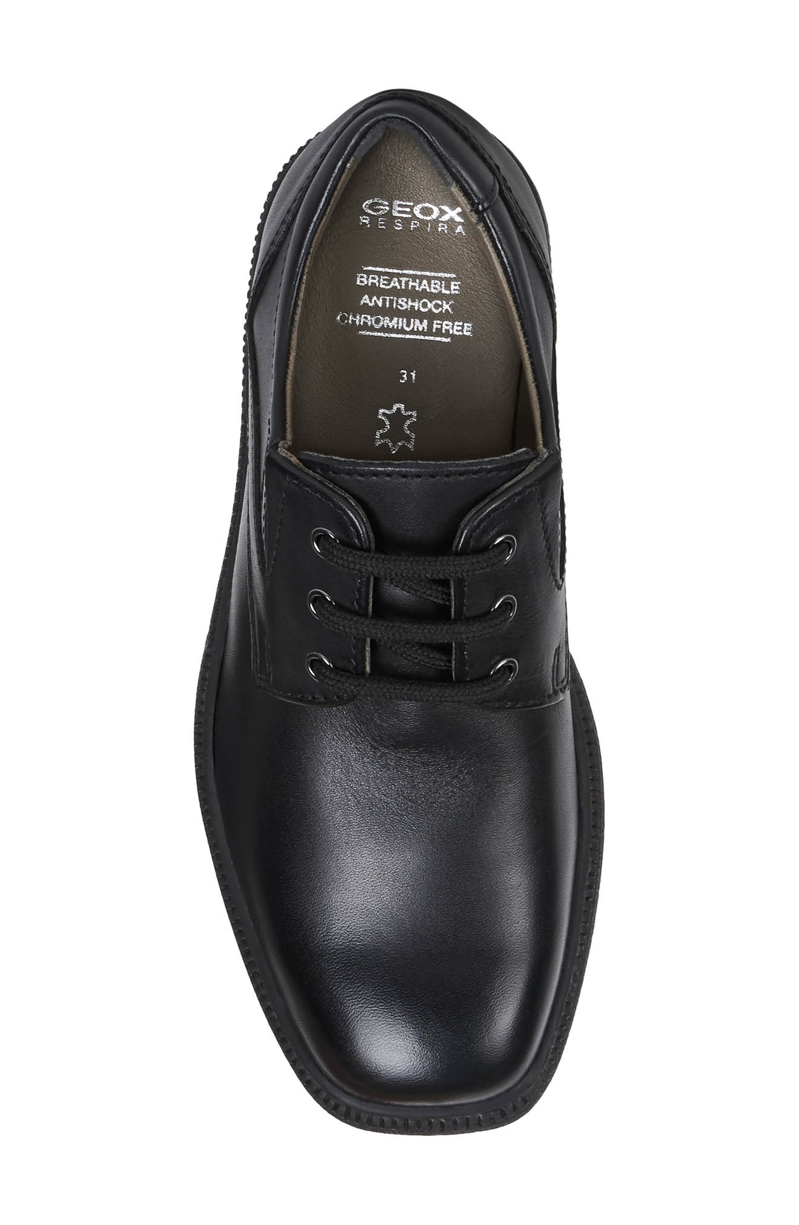 Geox Federico 7 Derby, Alternate, color, 