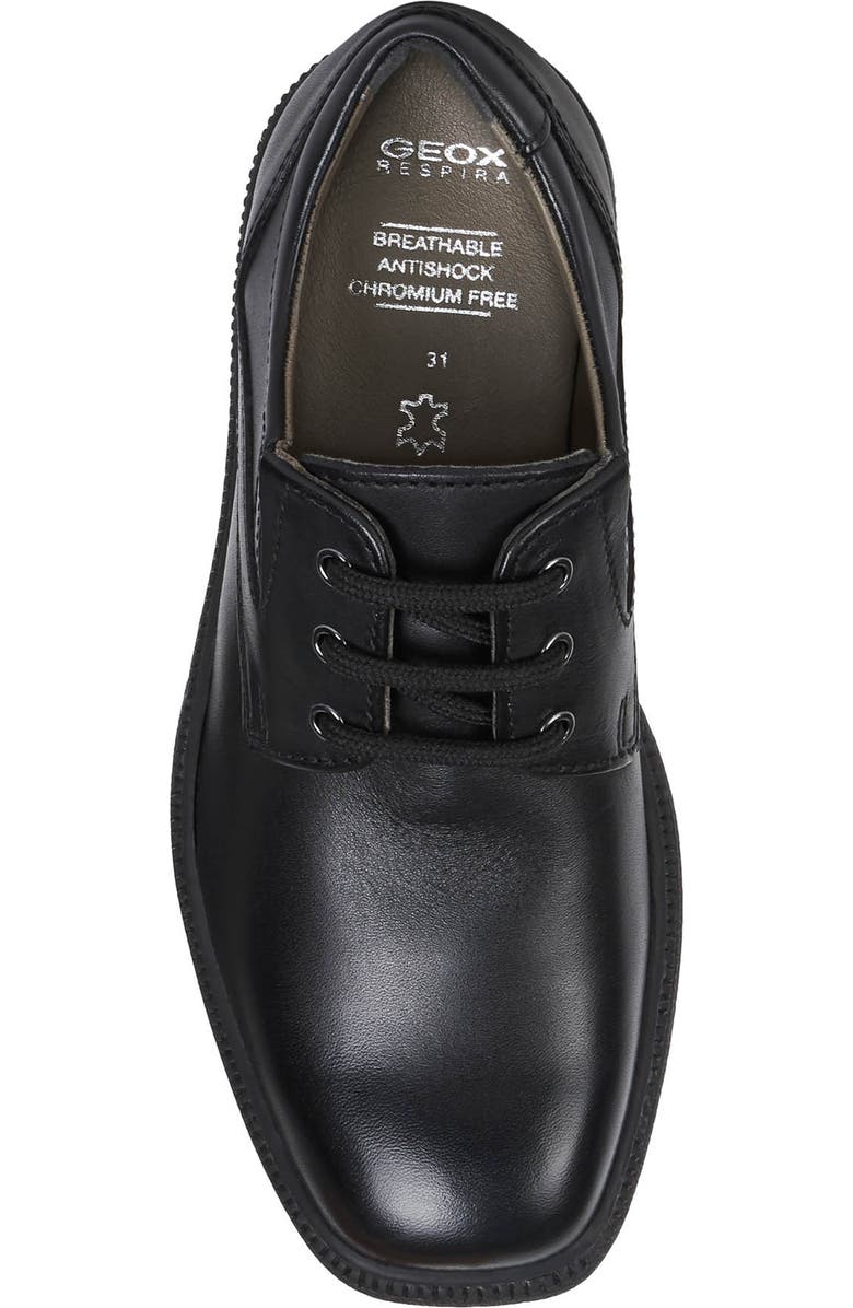 Geox Federico 7 Derby, Alternate, color,