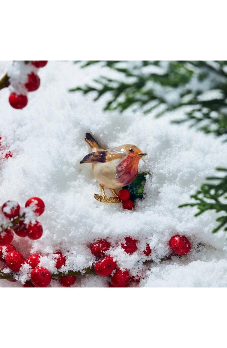 Bill Skinner Studio Robin Brooch, Alternate, color, Robin