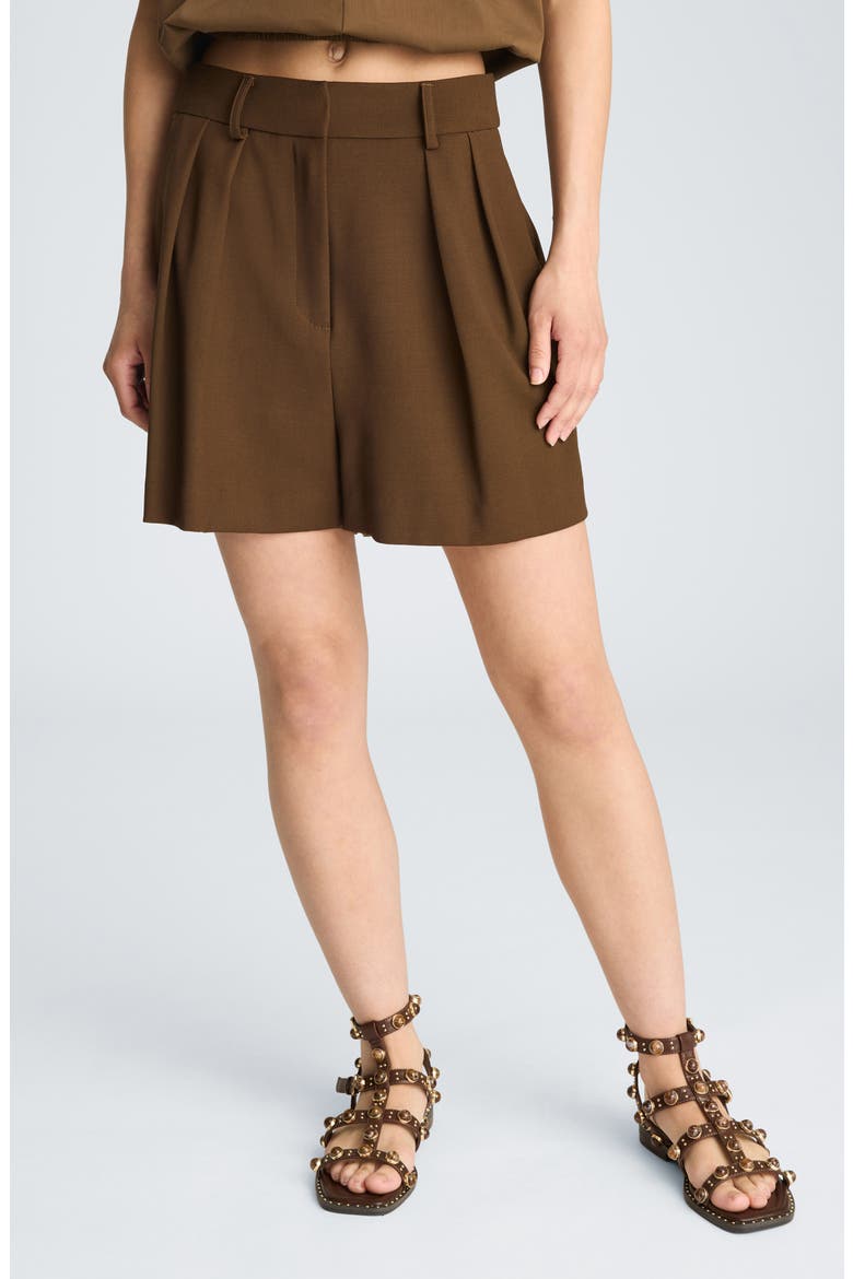 Pleated Shorts, Main, color, BRUNETTE