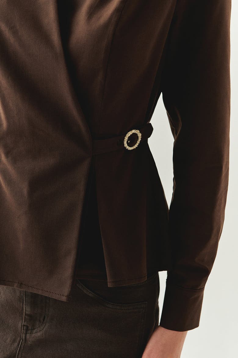 Ashylnn Wrap Collar Shirt, Alternate, color, BROWN