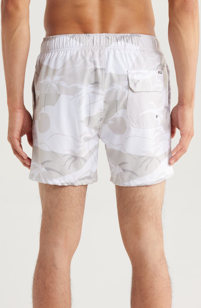 Vintage Summer Volley Swim Trunks, Alternate, color, Tan