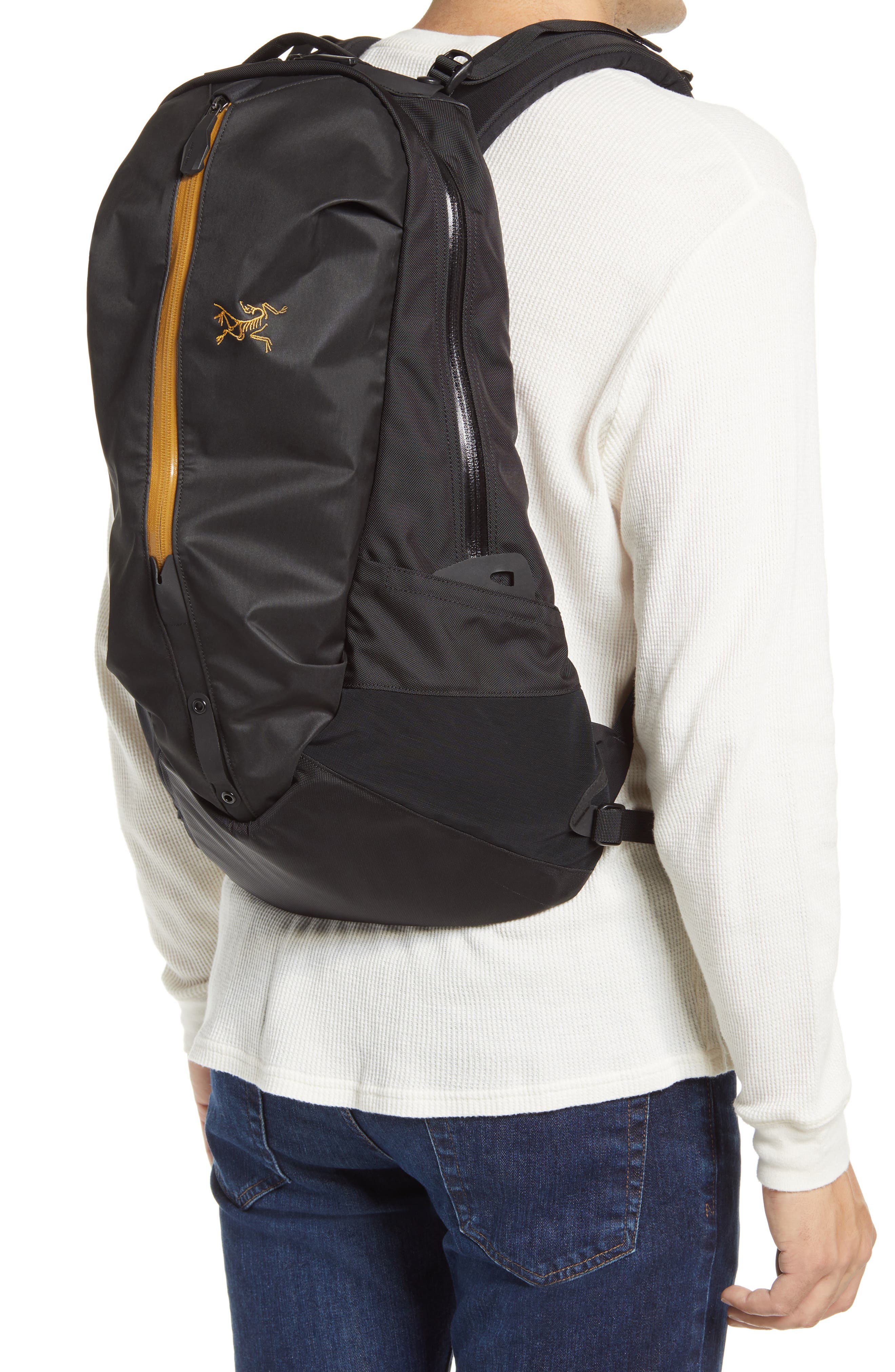Arc'teryx Arro 22 Nylon Backpack, Alternate, color, 