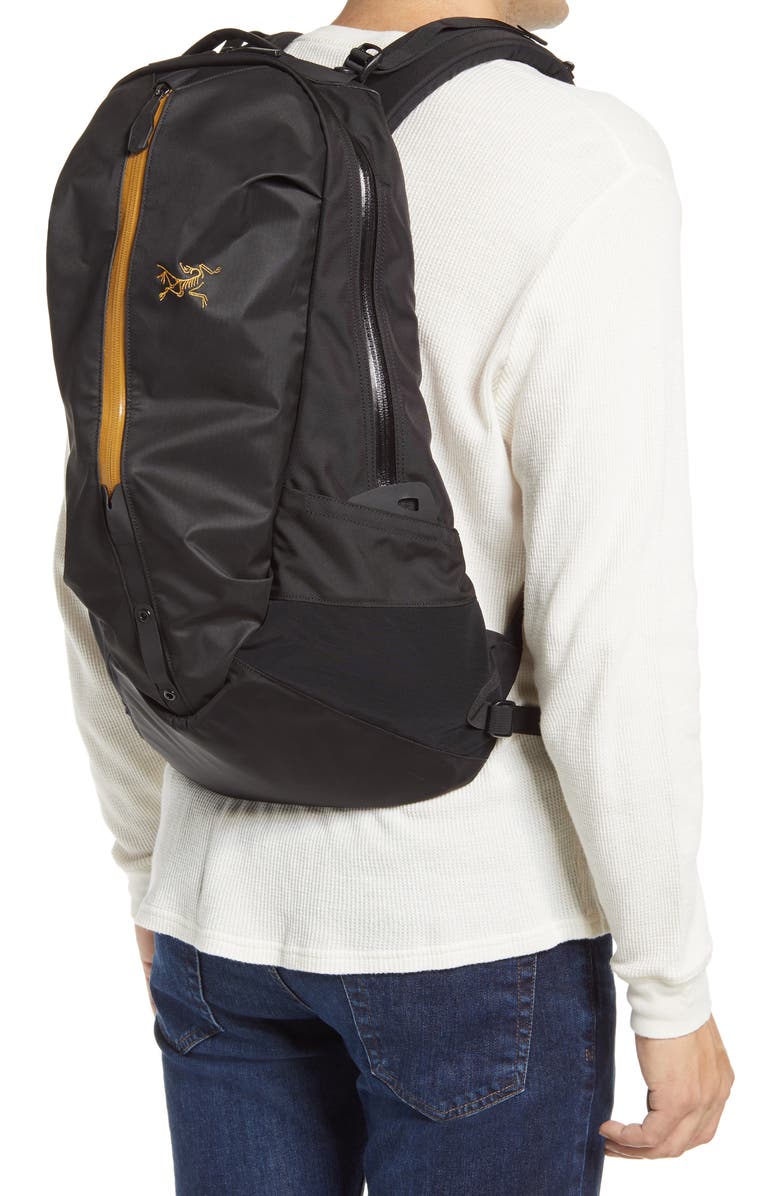 Arc'teryx Arro 22 Nylon Backpack, Alternate, color,