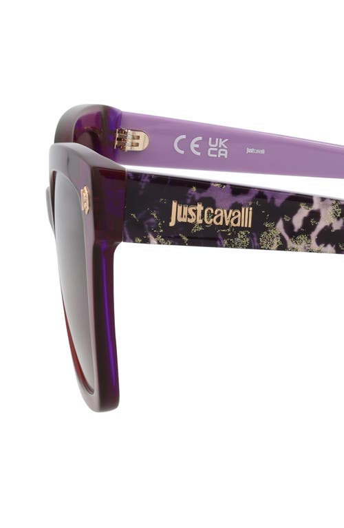 Just Cavalli 54mm Square Sunglasses In Violet Havana Brown