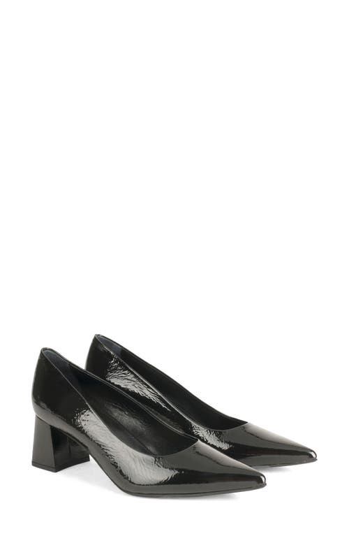 AGL Tracy Pointed Toe Pump in Nero 