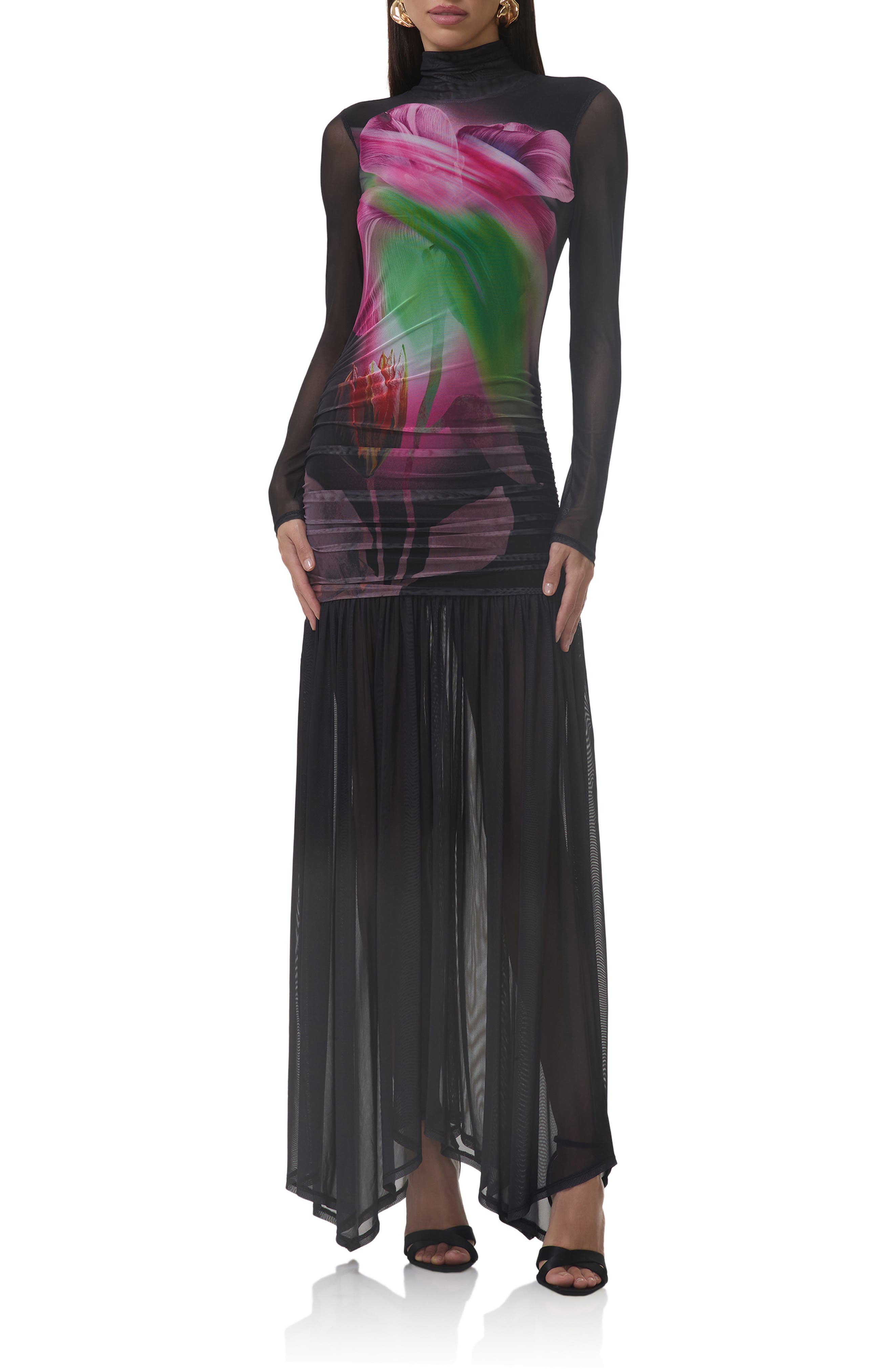 Joni Sheer Long Sleeve Turtleneck Mesh Maxi Dress