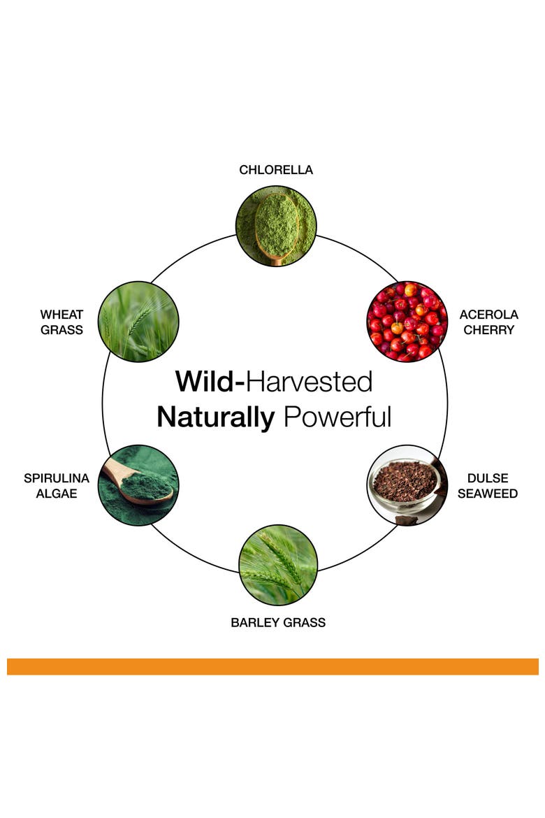 SuperFood 100 Supplement for Overall Wellness, Cellular Nutrition and Energy Support, Gluten-Free, Dairy-Free, Alternate, color, Brown