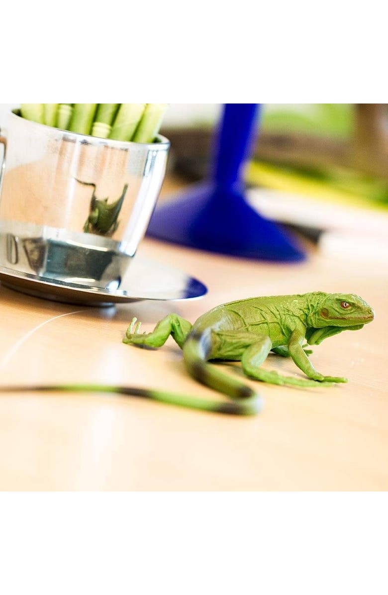 Safari Ltd. Iguana Baby Toy, Alternate, color, NO COLOR