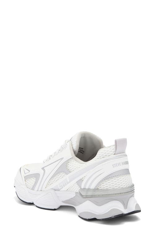 STEVE MADDEN STEVE MADDEN SAGAA SNEAKER