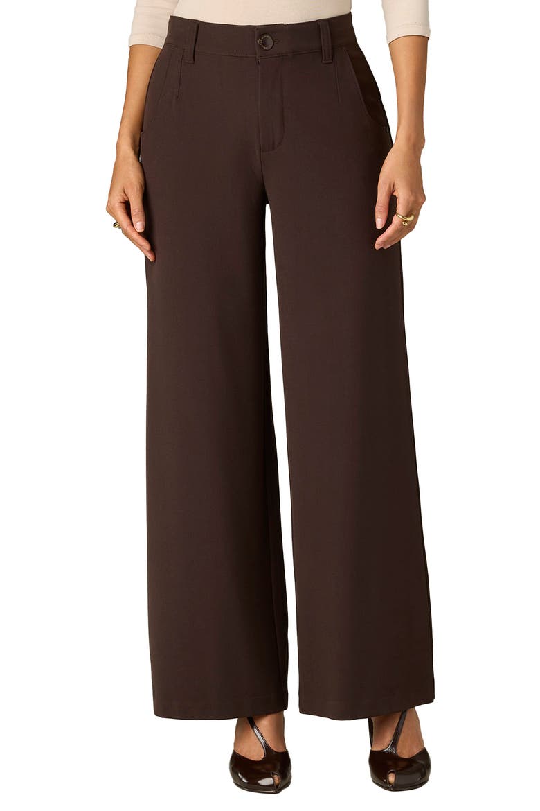 Whitney Skyrise Flat Front Wide Leg Pants, Main, color, BROWN