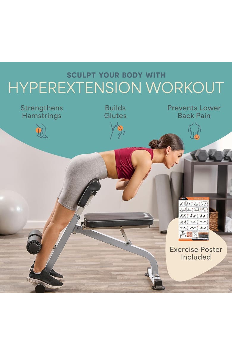 Lifepro Sculpt Trainer Roman Chair leg Exerciser machine, Alternate, color, Grey