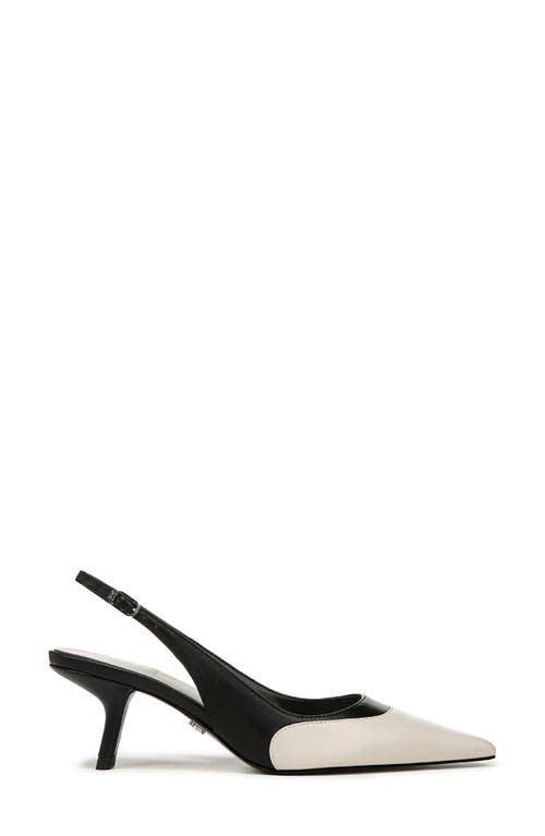 Sam Edelman Bayley Pointed Toe Slingback Pump