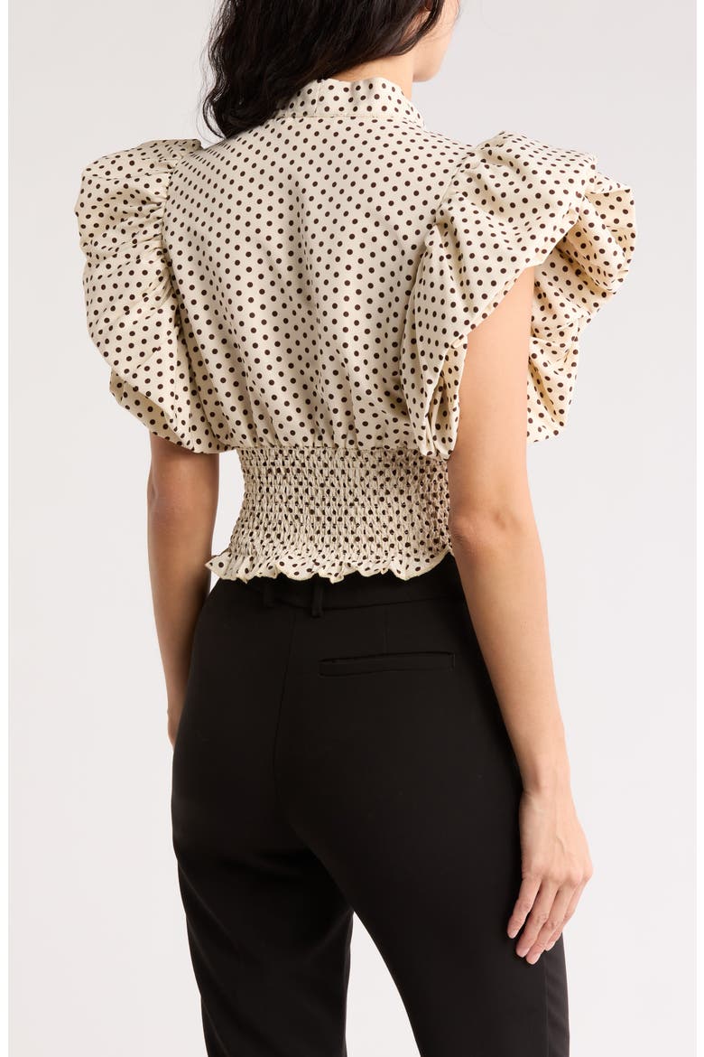 Dorothy Tie Front Ruffle Sleeve Crop Top, Alternate, color, DOROTHY DOT