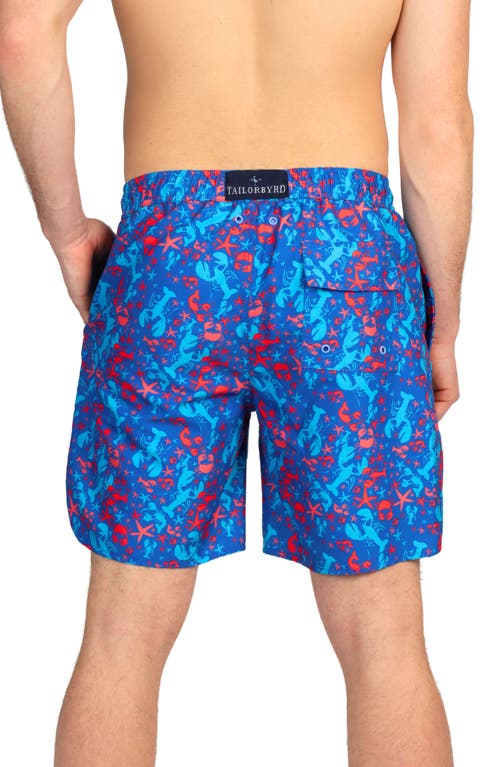 Tailorbyrd Lobster Print Swim Trunks In Multi