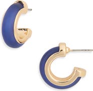 NORDSTROM RACK Frosted Resin Huggie Hoop Earrings