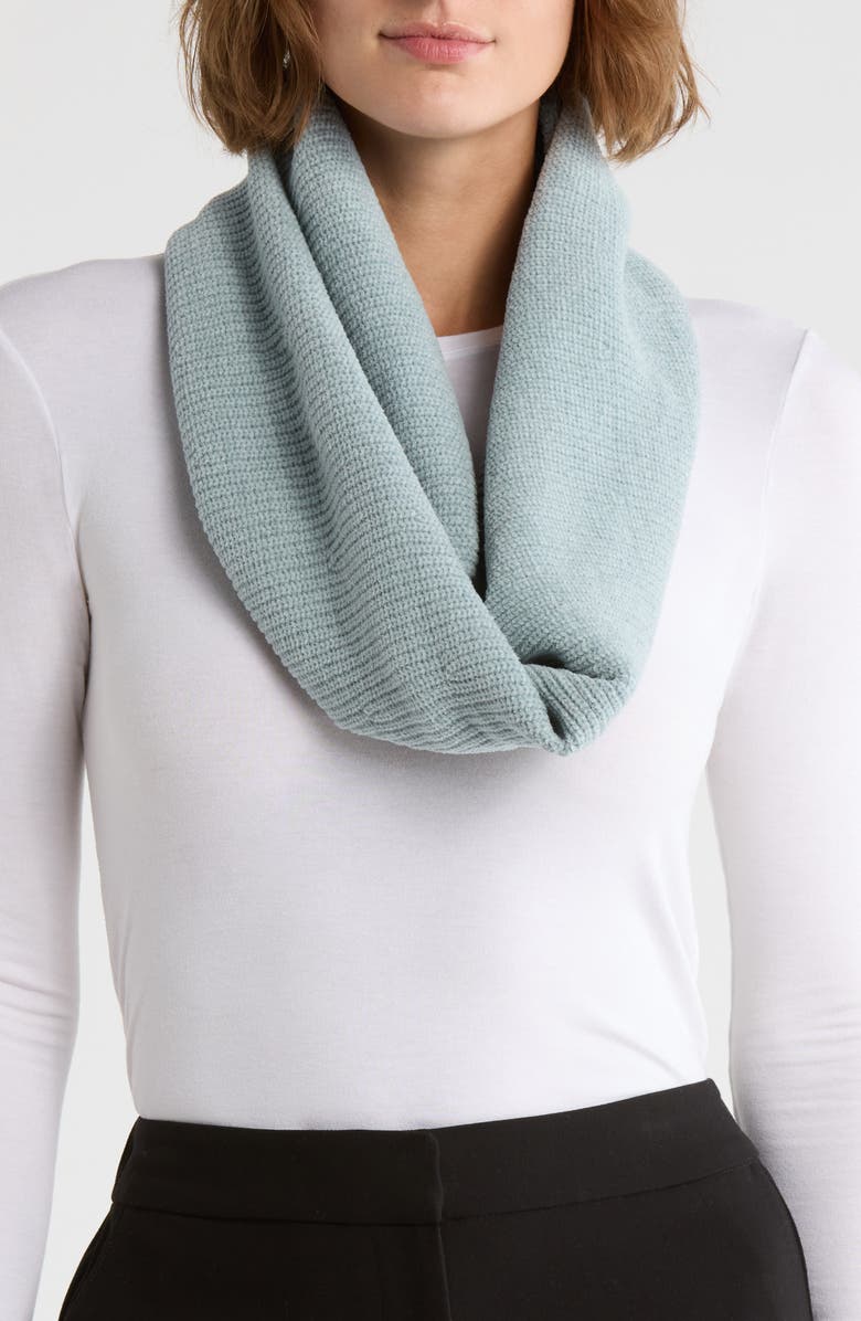 Eileen Fisher Chenille Organic Cotton Infinity Scarf, Main, color, 