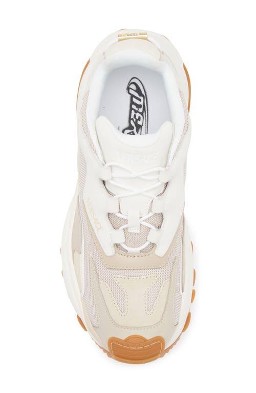 Versace Low Top Sneaker In Mastic Chiffon- Gold