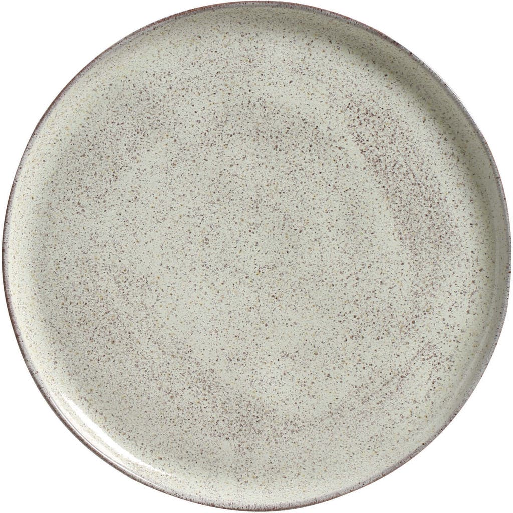 Porto Brasil Stoneware Buffer Dinner Plates, Set Of 6 In Neutral