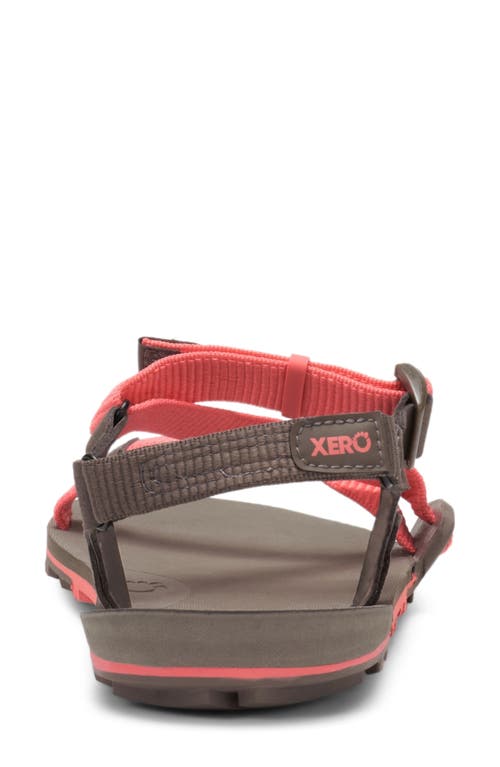 Xero Shoes Z-trail Ev Barefoot Hiking/running Sandal In Multi