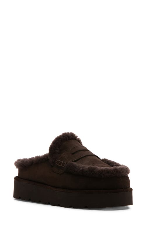 275 Central Siria Penny Loafer Slipper In Brown
