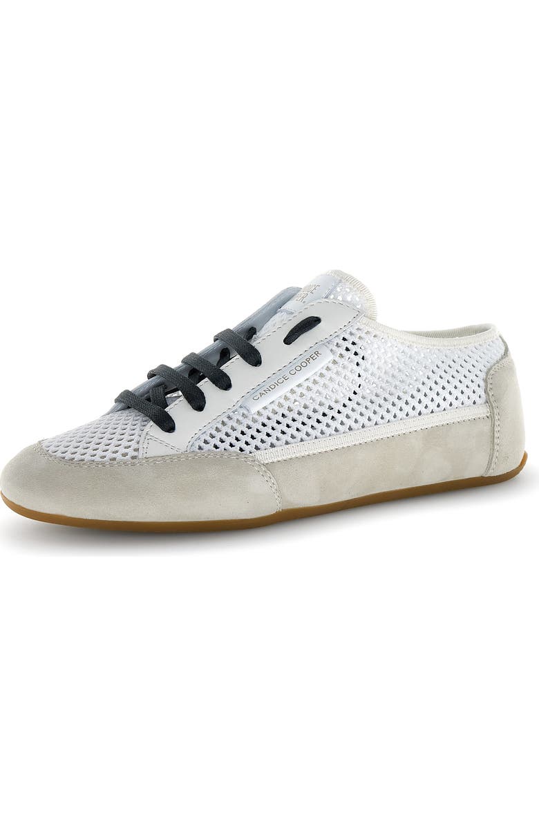 Candice Cooper Dafne 2 Sneaker, Main, color, Ice White