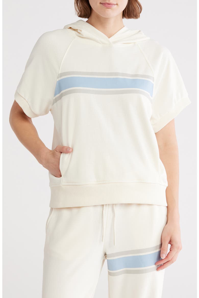 Terry Short Sleeve Hooded Top, Main, color, CLOUD DANCER