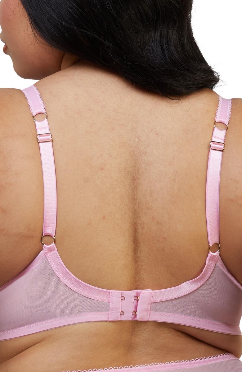 Playful Promises Luna Pastel Embroidered Underwire Bra, Alternate, color, 