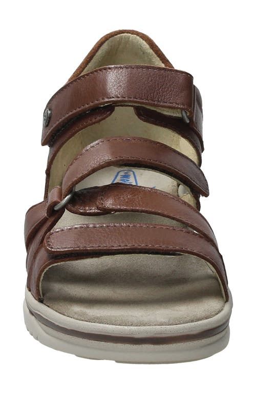 Wolky Desh Sandal In Cognac