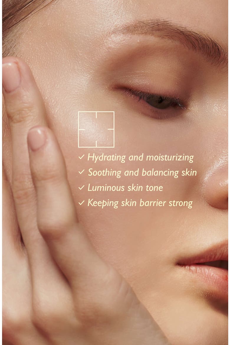 Black Rice Hyaluronic Toner, Alternate, color, None