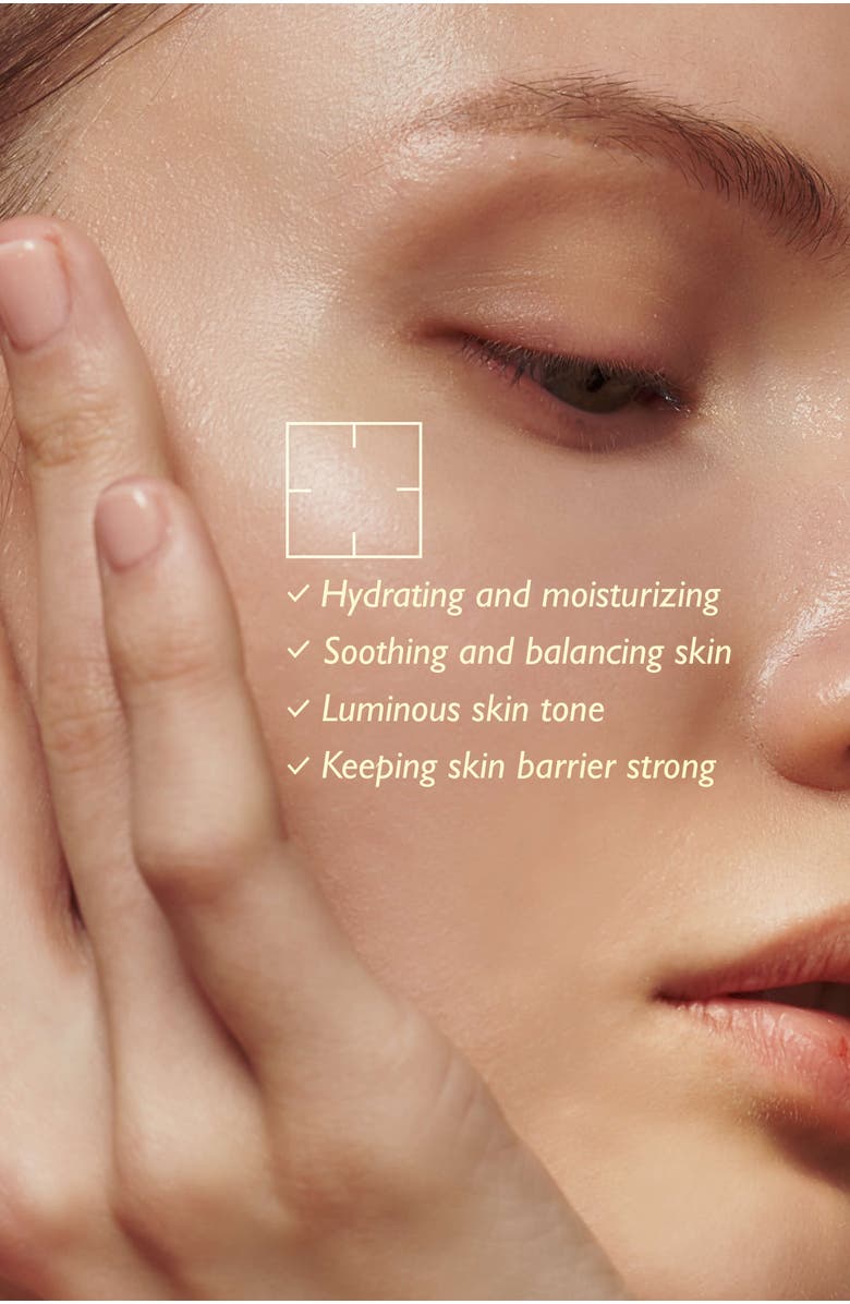 haruharu wonder Black Rice Hyaluronic Toner, Alternate, color, NO COLOR