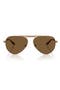  Matte Rose Gold / Brown