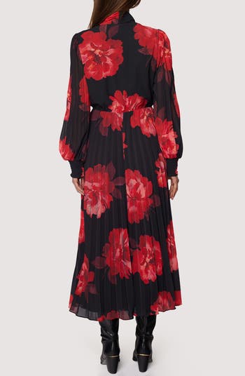 Scarlet Melody Floral Long Sleeve Maxi Dress
