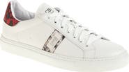 Roberto Cavalli Logo Plate Sneaker