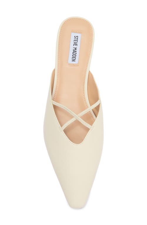 Shop Steve Madden Pammie Mule In Bone Leather