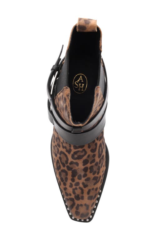 Ash Heron Chelsea Boot In Brown