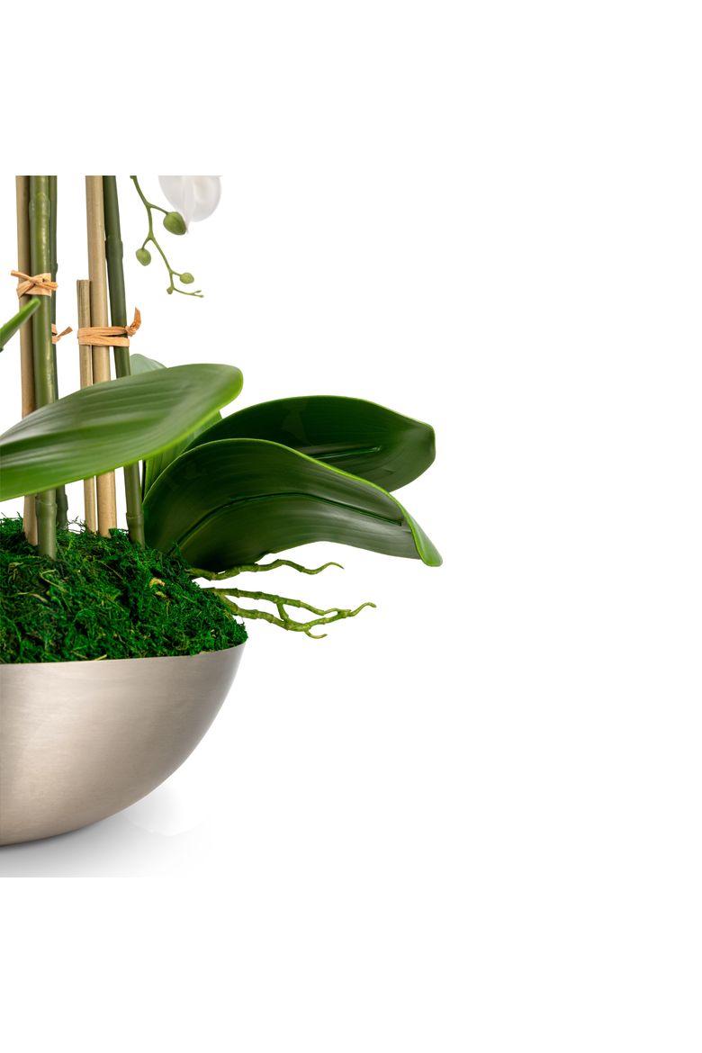 Abrienne RealTouch Orchid Arrangement, Alternate, color, Snow