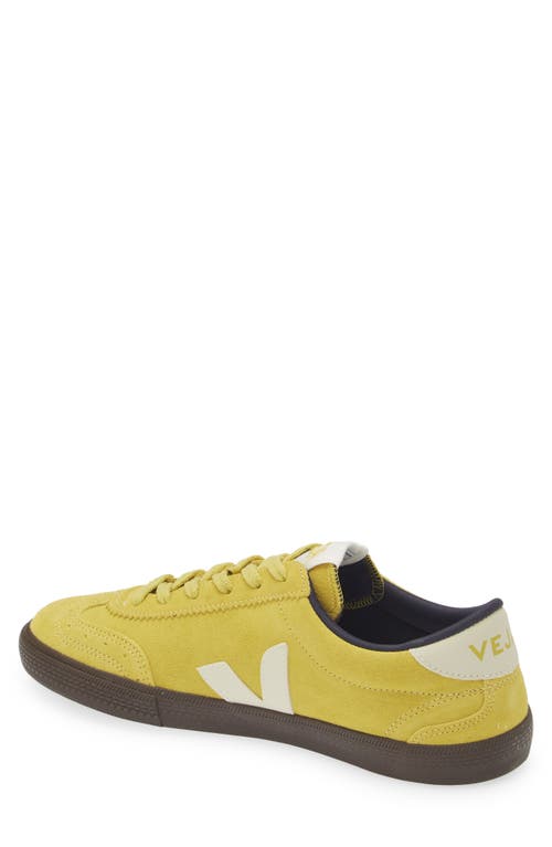 Veja Volley Sneakers In Liquor Pierre Eagle