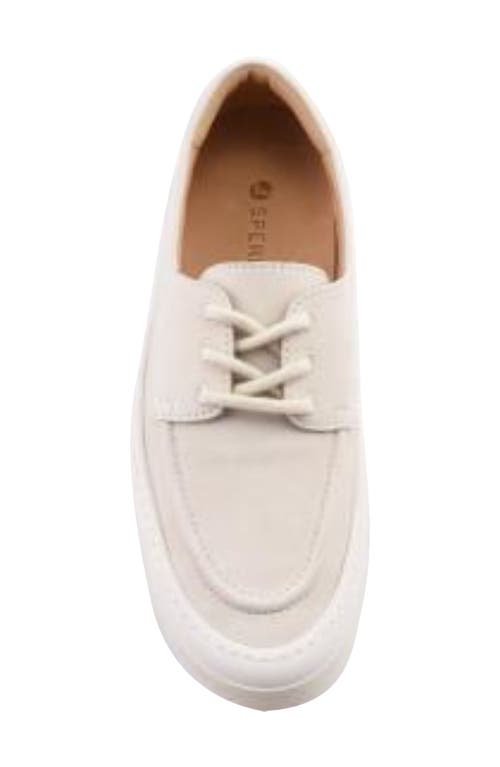 Sperry Candy Boat Shoe In Gray